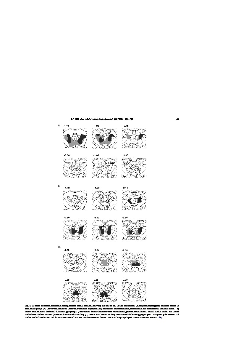 Download Odour-place paired-associate learning and limbic thalamus: Comparison of anterior, lateral and medial thalamic lesions.